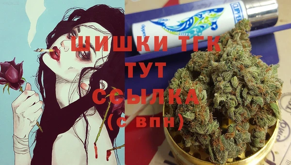 ПСИЛОЦИБИНОВЫЕ ГРИБЫ Бердск