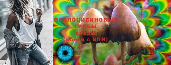ECSTASY Абаза