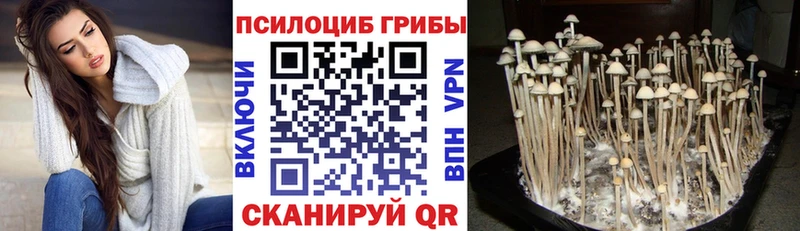 Псилоцибиновые грибы GOLDEN TEACHER  дарк нет как зайти  Барыш 